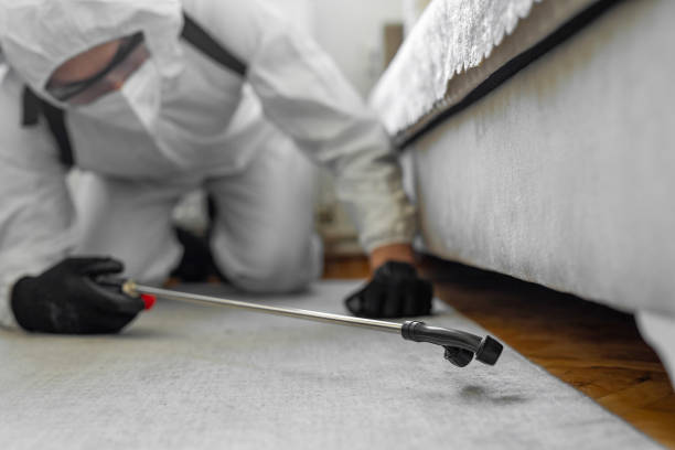Professional Termite Control technician working in Santa Clara, UT